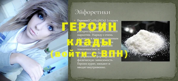 хмурый Дубна
