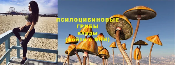 гашик Краснослободск
