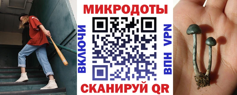 Галлюциногенные грибы мухоморы  цена   Корсаков 