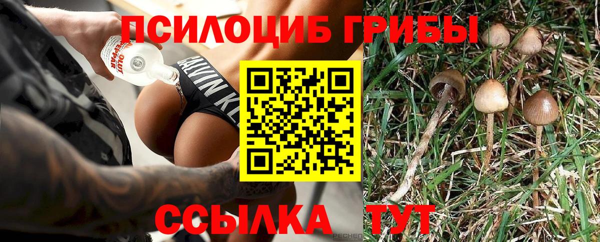 где можно купить наркотик  Вход с VPN  Корсаков  Псилоцибиновые грибы Magic Shrooms  Псилоцибиновые грибы прущие грибы 