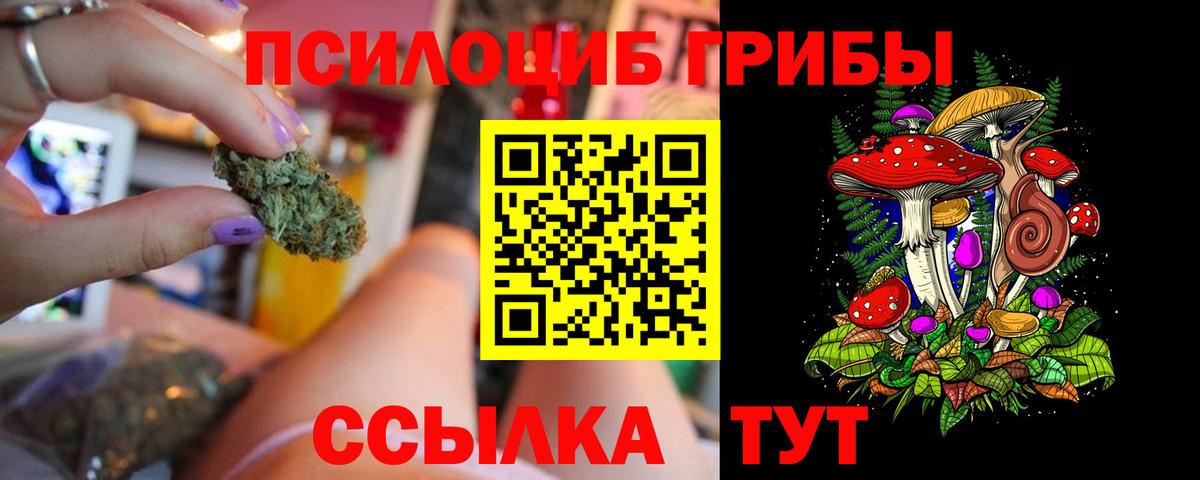 Галлюциногенные грибы мухоморы  цены   Корсаков  Псилоцибиновые грибы мицелий 